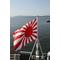 愛国勉強会