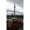 TokyoSKYTREE