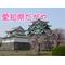 愛知県民だがや[D:F995]