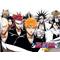 BLEACH(￣∀￣)