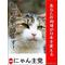 ‡鬼猫‡