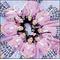 ☆[D:F992]AKB48[D:F992]☆