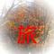 [D:F9EB][D:F9ED]伊達な旅標[D:F9EC][D:F8A2]