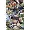＊FAIRYTAIL＊