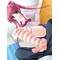 画像集め｢自分用｣