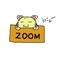 I love 'ZOOM'